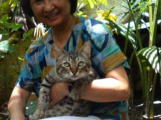 �N���b�N����Ɗg�債�܂�