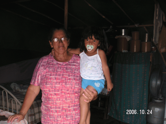 MST�L�����v�̂���e���g����