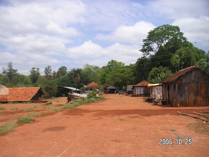 MST�����Ŏ擾�����y�n�ɔ_�������A���ĊJ�����n�߂��y�n