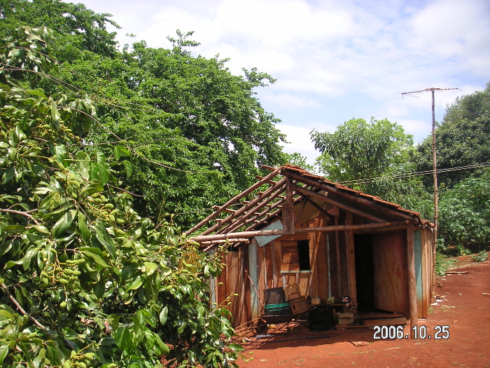 ���A�����_�������ĂĂ���Z���i���荇�킹�̍ޗ��ō��j