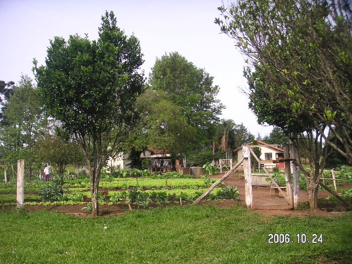 ����E�A���R�[���ˑ��ǎ҂̍X���{��<br>(�l�r�s�^���ŕ�������ꂽ�ʑ������p���Ă���j